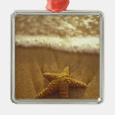 Search for maui ornaments Tropical