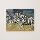 Recherche de rayures de zèbre puzzles Africain