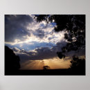 Search for sunrays posters Tree