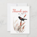 Search for cattails cards Animal