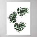 Recherche de feuille palmier posters Minimaliste