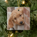 Search for mixed breed dog ornaments Puppy