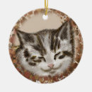 Search for sleeping cat ornaments Pets