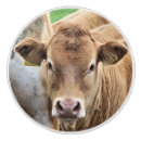 Recherche de petit animal boutons et poignées de porte Pour tous