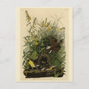 Search for larks postcards Illustration
