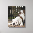 Recherche de anglais bouledogue art Chien
