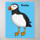 Search for atlantic puffin posters Bird