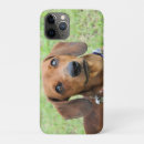 Search for alertness phone cases Curious