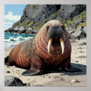 Search for cute beach posters Ocean