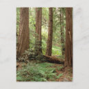 Recherche de attelage cartes postales Nature