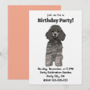 Recherche de caniche français invitations Pour elle