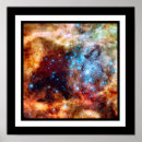 Recherche de tarentule Coloré