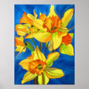 Search for yellow daffodil flower posters Botanical