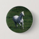Search for thoroughbred buttons Moving