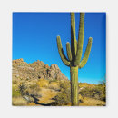 Search for cactus magnets Arizona