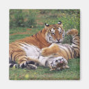 Search for affectionate magnets Nature