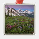 Search for cascade ornaments Shuksan