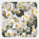 Search for skagit stickers Judy wild
