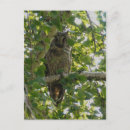 Recherche de oreilles cartes postales Nature