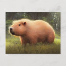 Search for capybara postcards Birthday