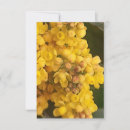 Search for comfortable invitations Cozy