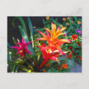 Search for pink leaf postcards Yellow