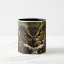 Search for great horned owls mugs Raptors