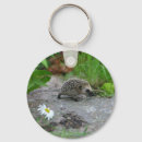 Search for hedgehog keychains Nature