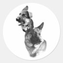 Recherche de german shepherd stickers Deutscher schaferhund