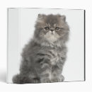 Search for persians binders Cute
