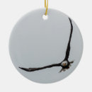 Search for big bird ornaments Nature