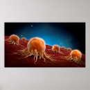 Recherche de rna posters Biologie