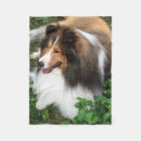 Recherche de shelties blankets Shetland