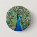 Search for peacock buttons Green