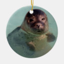 Search for baby seal ornaments Sea lion
