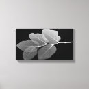 Recherche de rayon x art Noir et blanc