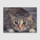Recherche de photo drôle de chat magnets Simple