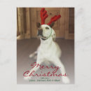 Search for log cabin christmas cards Reindeer