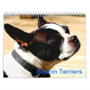 Recherche de boston terrier calendriers Chiens