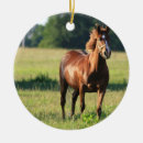 Search for chestnut horse ornaments Thoroughbred