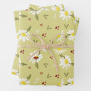 Search for daisy wrapping paper White