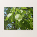 Recherche de bouleau puzzles Nature