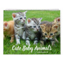 Search for cute animal calendars Pets