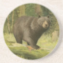 Search for bear coasters Nature