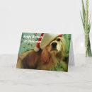 Search for birthday christmas cards Photography