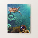 Recherche de tortues puzzles Océan
