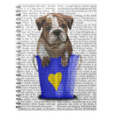 Recherche de bouledogue français Chiot