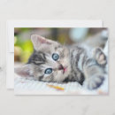 Recherche de yeux bleus vœux cartes Chat