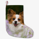 Recherche de manteaux de chien Dogs