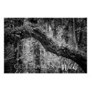 Search for wetland posters Florida